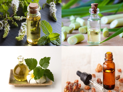 Pure and Natural Essential Oils Manufacturer for Private Label